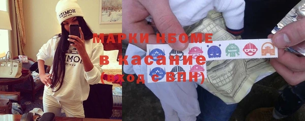 индика Алзамай