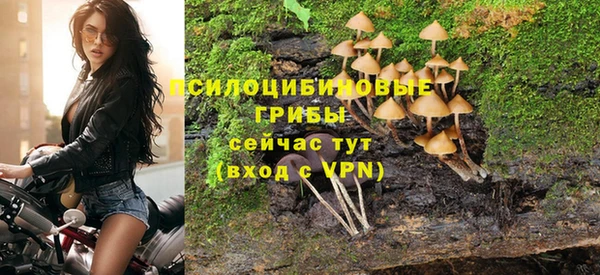 бутират Осташков