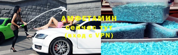 индика Алзамай