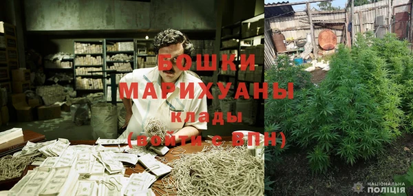 крисы Няндома