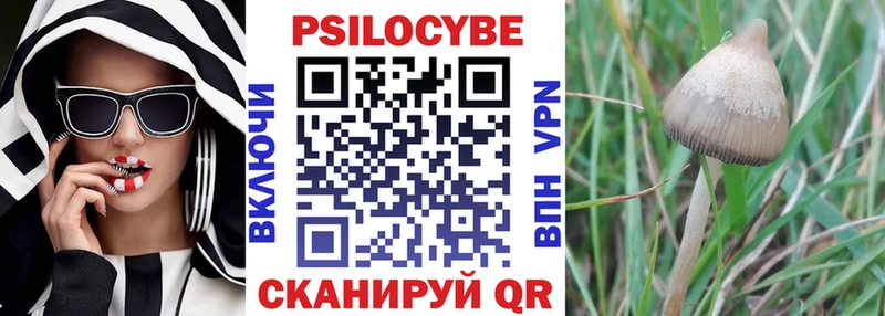 Галлюциногенные грибы Psilocybine cubensis  ОМГ ОМГ рабочий сайт  Николаевск 